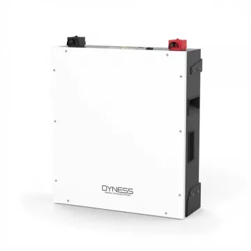 Dyness Lithium Ion Battery 5.12kWh 51.2V 100Ah